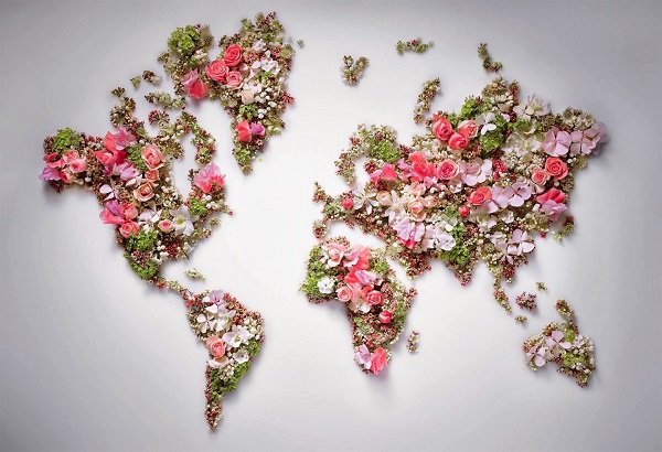 Цветочное панно в виде карты мира